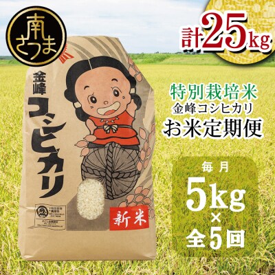 【定期便 全5回】<令和6年産> 特別栽培米 金峰コシヒカリ 石蔵米 5kg×5ヶ月 お米定期便