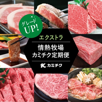 情熱牧場 鹿児島県産お肉の定期便 プレミアムコース(全12回)