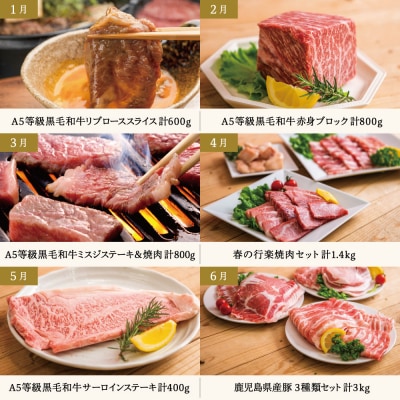 情熱牧場 鹿児島県産お肉の定期便 プレミアムコース(全12回)
