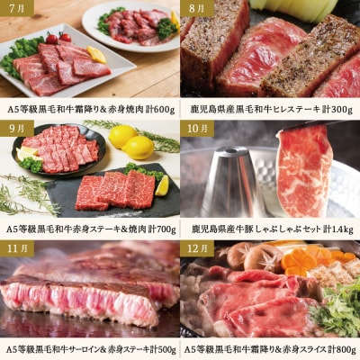 情熱牧場 鹿児島県産お肉の定期便 プレミアムコース(全12回)