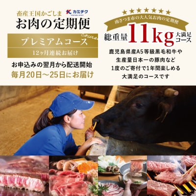 情熱牧場 鹿児島県産お肉の定期便 プレミアムコース(全12回)