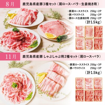 定期便 全4回 カミチク鹿児島県産豚肉よりどり定期便 しゃぶしゃぶ 生姜焼き とんかつ 肩ロース お礼品詳細 ふるさと納税なら さとふる
