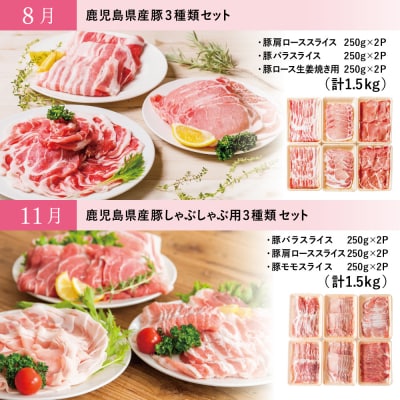 【モリモリ定期便】鹿児島県産豚よりどり定期便(全4回) しゃぶしゃぶ 生姜焼き とんかつ 肩ロース