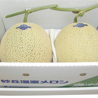 【11月末～12月中旬発送】鹿児島県産 砂丘メロン「加世田アールスメロン」2玉 化粧箱入り