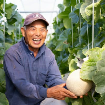【7月発送】鹿児島県産 砂丘メロン「加世田アールスメロン」2玉 化粧箱入り