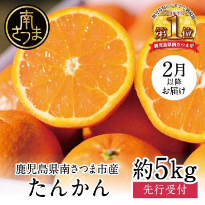 【先行受付:2024年2月中旬発送開始】鹿児島県産 ブランドたんかん 約5kg フルーツ 柑橘 果物 | ふるさと納税のお礼品