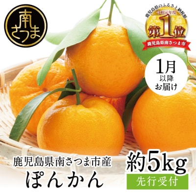 【先行受付:2024年1月上旬発送開始】鹿児島県産 ぽんかん 約5kg 果物 フルーツ 柑橘