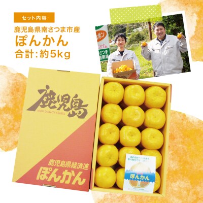 【先行受付:2024年1月上旬発送開始】鹿児島県産 ぽんかん 約5kg 果物 フルーツ 柑橘