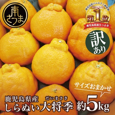 【訳あり】◆12月中お届け◆ 鹿児島県産 不知火「大将季」約5kg 柑橘 みかん しらぬい 果物