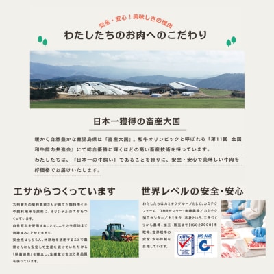 【鹿児島県産】A5等級黒毛和牛W霜降りスライス400g・焼肉セット400g (計800g) 
