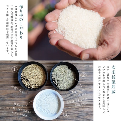 <令和7年産 新米・8月発送開始>【玄米低温貯蔵】鹿児島県南さつま市産「金峰コシヒカリ」5kg