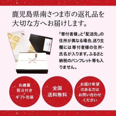 【お歳暮ギフト】マイスター山野井 5種類の焼豚とハム・ベーコン詰め合わせ [9種] 