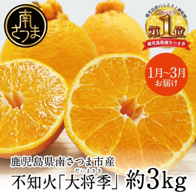 【1月～3月発送】鹿児島県産 不知火「大将季」(だいまさき)約3kg果物 柑橘