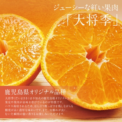 【1月～3月発送】鹿児島県産 不知火「大将季」(だいまさき)約3kg果物 柑橘