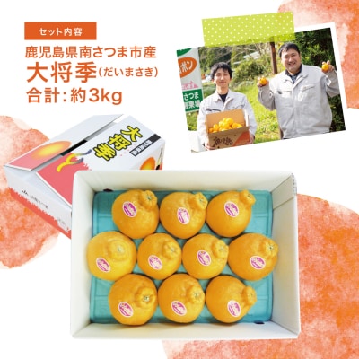 【1月～3月発送】鹿児島県産 不知火「大将季」(だいまさき)約3kg果物 柑橘