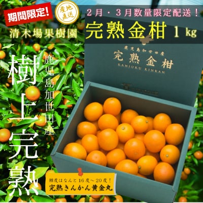 ◆先行受付◆ 2月～3月末発送【鹿児島県南さつま市産】完熟金柑 黄金丸 約1kg(3L～4L)