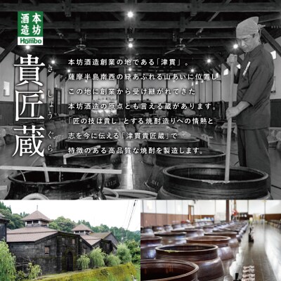 【母の日ギフト】【蔵元直送】本坊酒造 源次郎梅酒 750ml ギフト 贈答