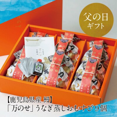 【父の日ギフト】【鹿児島県産 鰻】万のせうなぎお結び9個