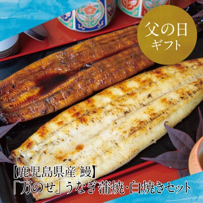 【父の日ギフト】【鹿児島県産 鰻】うなぎ専門店「万のせ」うなぎ蒲焼・白焼きセット(手焼き) | ふるさと納税のお礼品