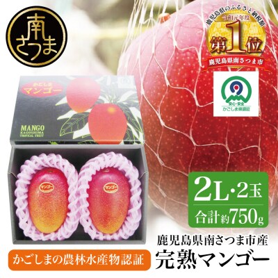 【鹿児島県産】 数量・期間限定! 完熟マンゴー 2Lサイズ 2玉(化粧箱入り)
