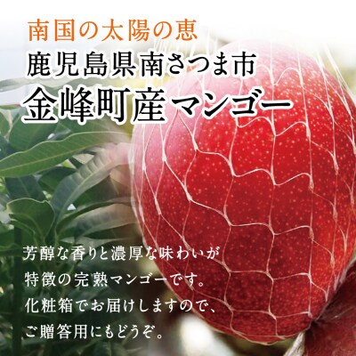 【鹿児島県産】 数量・期間限定! 完熟マンゴー 2Lサイズ 2玉(化粧箱入り)