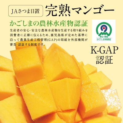 【5月～6月発送】鹿児島県産 完熟マンゴー 2Lサイズ 2玉(化粧箱入り) 期間限定
