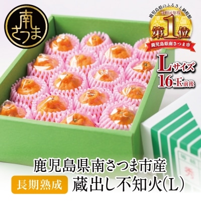 【長期熟成柑橘】蔵出し不知火(しらぬい) Lサイズ 16玉前後 約3kg