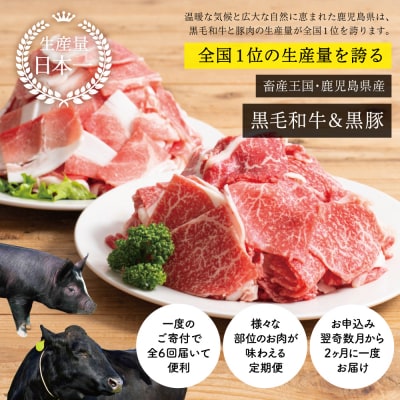 【スターゼン厳選定期便】鹿児島県産 黒毛和牛・黒豚定期便 (全6回)