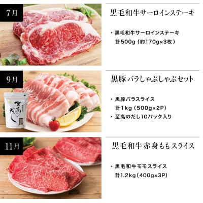 【スターゼン厳選定期便】鹿児島県産 黒毛和牛・黒豚定期便 (全6回)