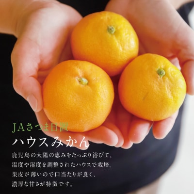 【7月～8月発送】ハウスみかん 約2.4kg(化粧箱入り) 柑橘 フルーツ 果物