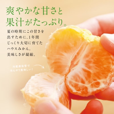 【先行受付:7～8月発送】ハウスみかん 約2.4kg(化粧箱入り) 柑橘 フルーツ 果物