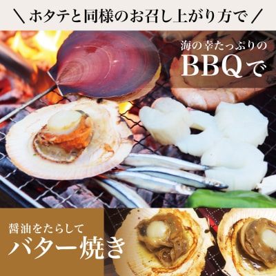【漁師厳選】希少 鹿児島特産 月日貝 30枚 ツキヒガイ つきひがい 冷凍 南さつま市