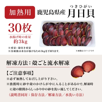 【漁師厳選】希少 鹿児島特産 月日貝 30枚 ツキヒガイ つきひがい 冷凍 南さつま市