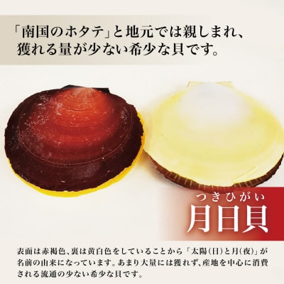 【漁師厳選】希少 鹿児島特産 月日貝 30枚 ツキヒガイ つきひがい 冷凍 南さつま市