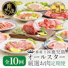 【定期便 全10回】オールスター厳選お肉定期便 牛肉・豚肉・肉加工品
