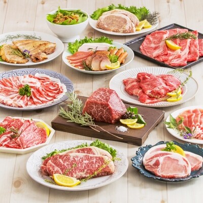 全10回 オールスター厳選お肉定期便 お礼品詳細 ふるさと納税なら さとふる