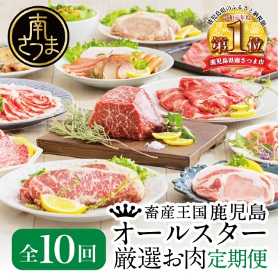 【定期便 全10回】オールスター厳選お肉定期便 牛肉・豚肉・肉加工品