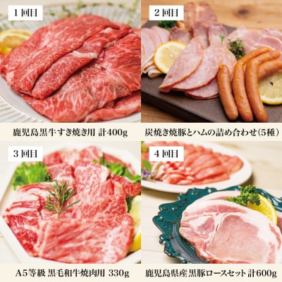 【定期便 全10回】オールスター厳選お肉定期便 牛肉・豚肉・肉加工品