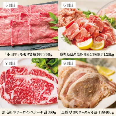【定期便 全10回】オールスター厳選お肉定期便 牛肉・豚肉・肉加工品