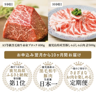 【定期便 全10回】オールスター厳選お肉定期便 牛肉・豚肉・肉加工品