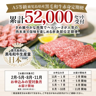 【特撰定期便 全4回】A5等級鹿児島産黒毛和牛赤身定期便 牛肉 冷凍 焼肉 ステーキ ブロック