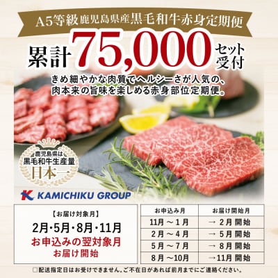 【特撰定期便 全4回】A5等級鹿児島産黒毛和牛赤身定期便 牛肉 冷凍 焼肉 ステーキ ブロック