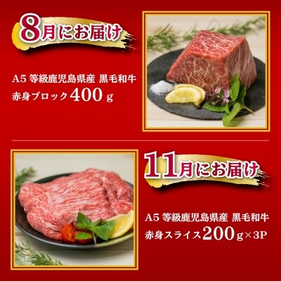 A5等級鹿児島黒毛和牛赤身定期便