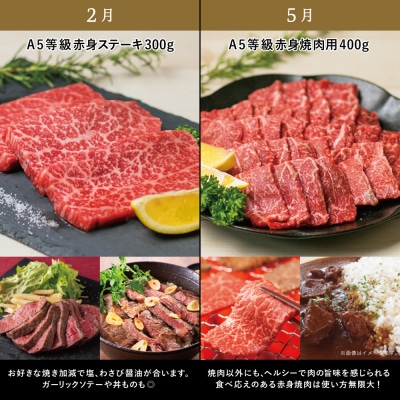 【特撰定期便 全4回】A5等級鹿児島産黒毛和牛赤身定期便 牛肉 冷凍 焼肉 ステーキ ブロック