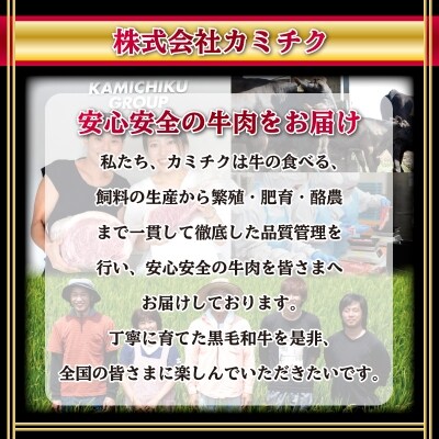 A5等級鹿児島黒毛和牛赤身定期便