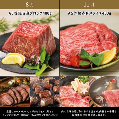 【特撰定期便 全4回】A5等級鹿児島産黒毛和牛赤身定期便 牛肉 冷凍 焼肉 ステーキ ブロック