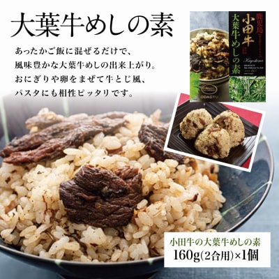 【プレミアムブランド】鹿児島県産黒毛和牛「小田牛」大葉牛めしの素&牛とろ煮込み