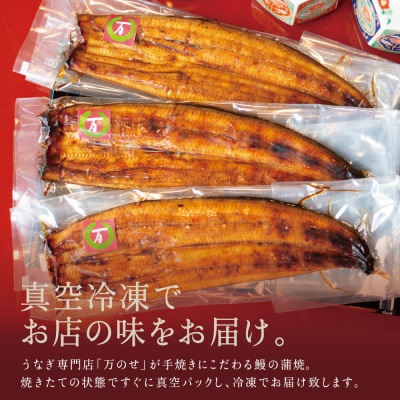 【お歳暮ギフト】 鹿児島県産 鰻 うなぎ専門店「万のせ」 うなぎ蒲焼(手焼き) 3尾