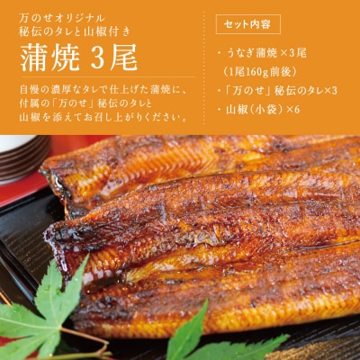 【お歳暮ギフト】 鹿児島県産 鰻 うなぎ専門店「万のせ」 うなぎ蒲焼(手焼き) 3尾