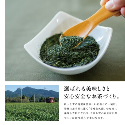 【お歳暮ギフト】日本茶AWARD受賞 高級深蒸し茶「さえみどり」 3本セット